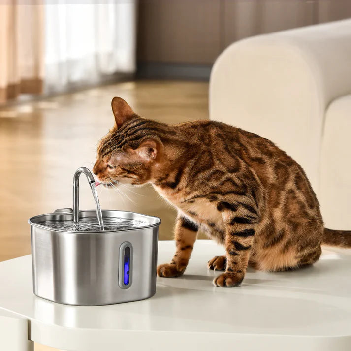 New Fontana automatica™️ per gatti da 2,2 litri in accaio inox