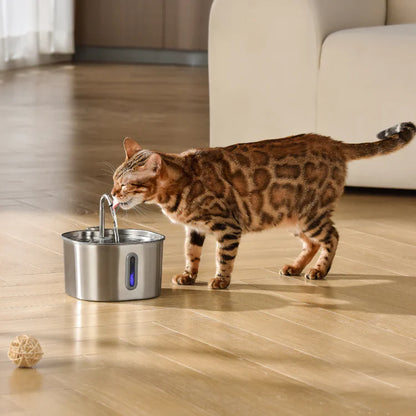New Fontana automatica™️ per gatti da 2,2 litri in accaio inox