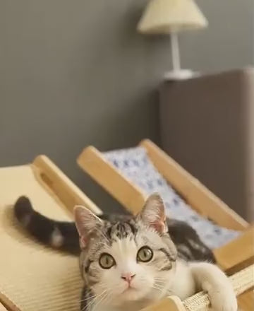 Amaca Tiragraffi™️ Relax per Gatti