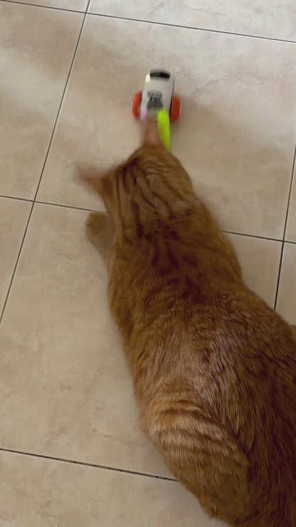 Pet Run Car™️ - Giocattolo per gatto telecomandato intelligente